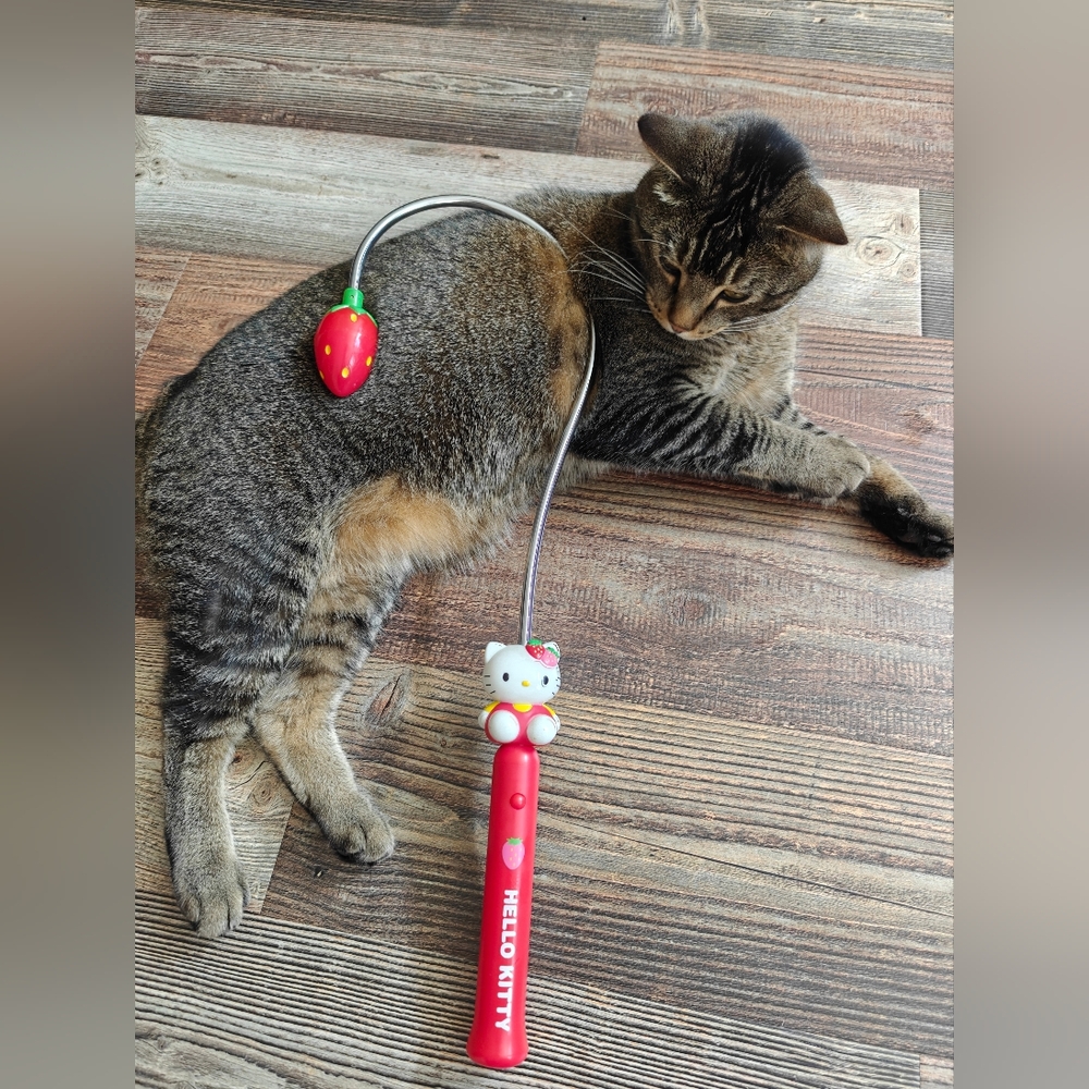 Y2K Hello Kitty Red Cat Wand Toy with Strawberry